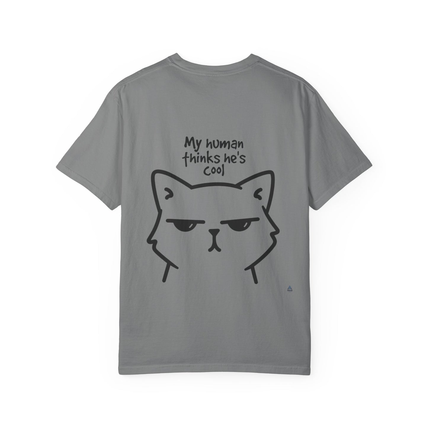 My Cat Thinks I'm Cool - Akram