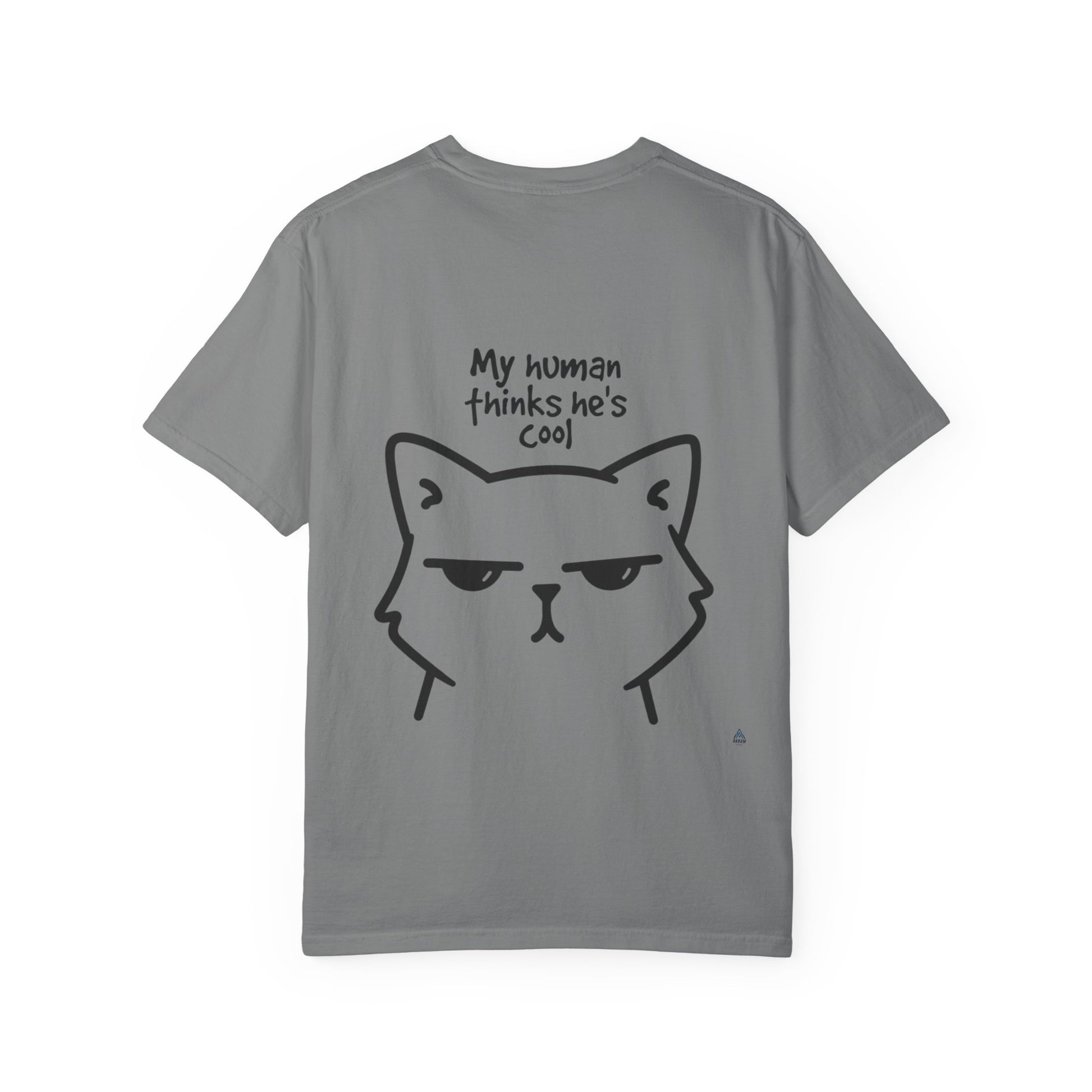 My Cat Thinks I'm Cool - Akram