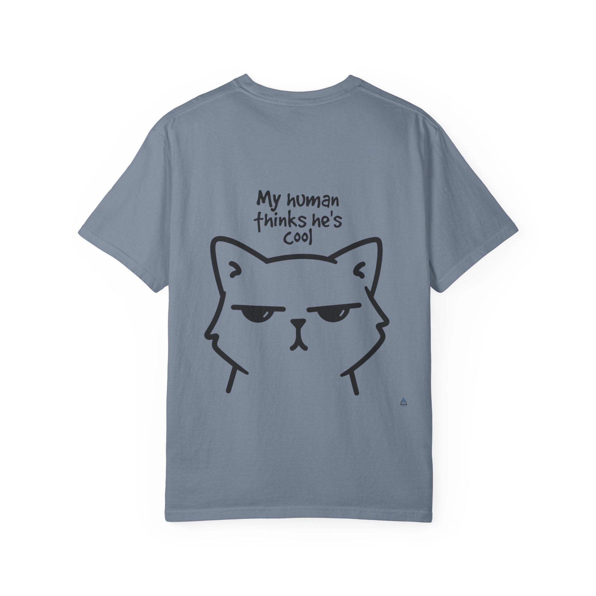 My Cat Thinks I'm Cool - Akram