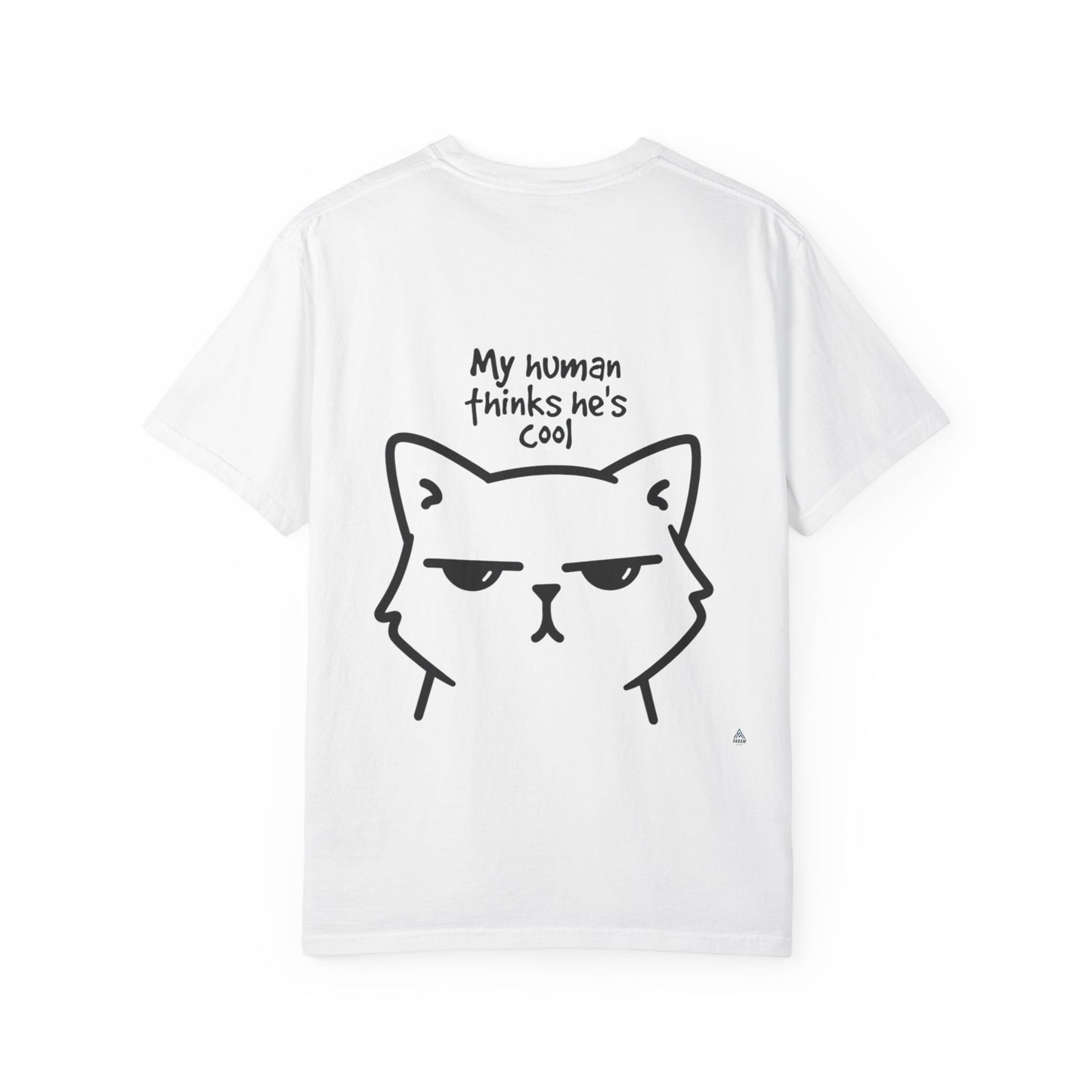 My Cat Thinks I'm Cool - Akram