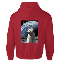 Boost Shawarma "I Was Late Talking To My Dog" Hoodie – Official $SHBOOST Automotive Hoodie - Star Studios Media